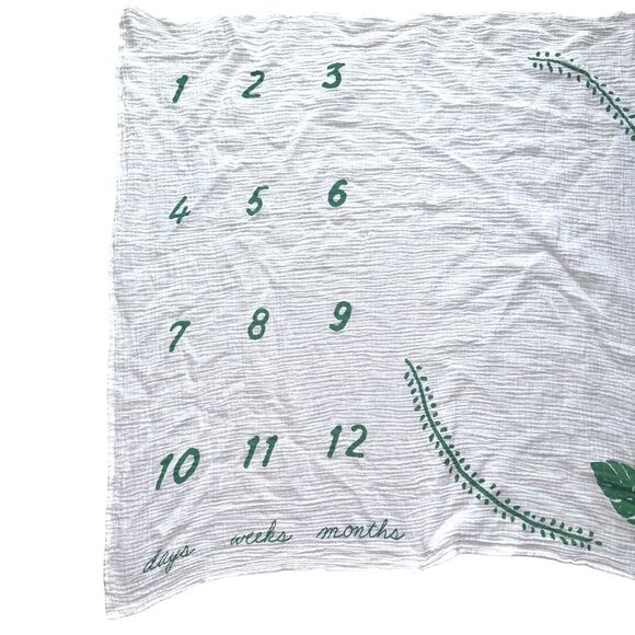 CR Gibson Baby Monthly Milestone Blanket Muslin 100% Cotton - Picture 3 of 13